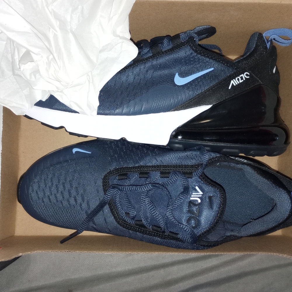 Nike Men's Blue Air Max Shoes